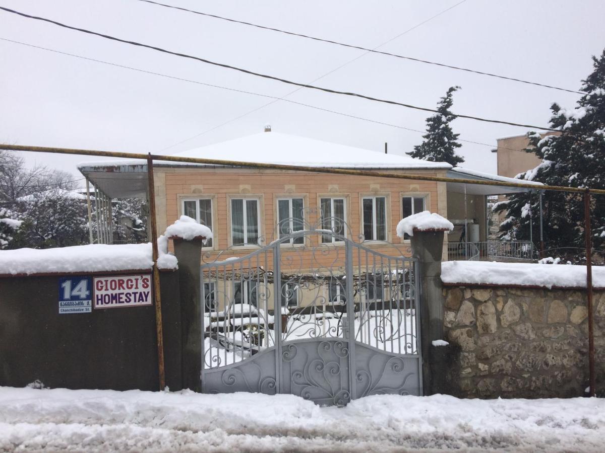 Giorgi'S Homestay Κουτάισι Εξωτερικό φωτογραφία